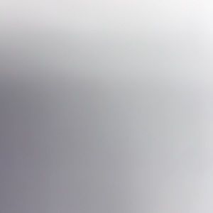 Meet your Posher, Desi